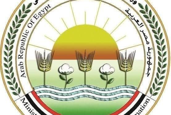 الزراعة: لا يوجد عجز في خامات الأعلاف المستوردة والمحلية.. وسوق الدواجن واللحوم مستقر 1 خامات الأعلاف