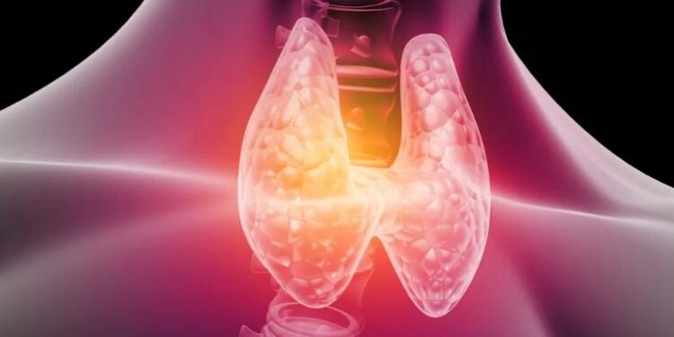 الغدة الدرقية