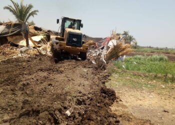 زراعة أسيوط