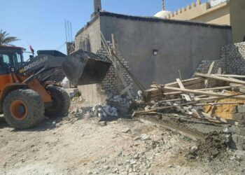 زراعة الإسكندرية