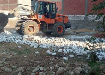 زراعة القليوبية