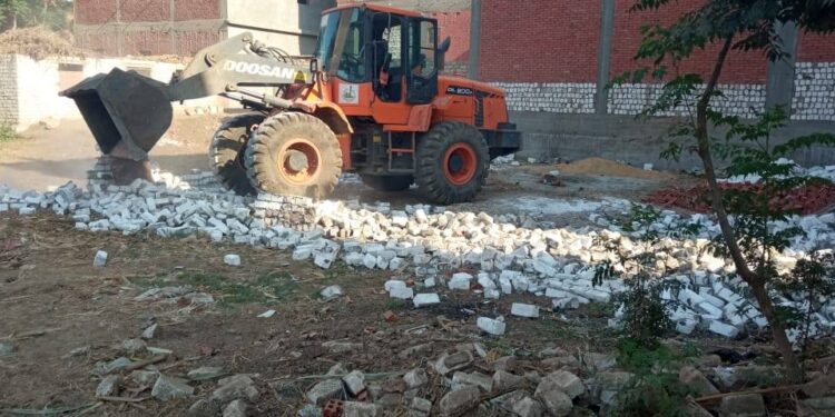 زراعة القليوبية