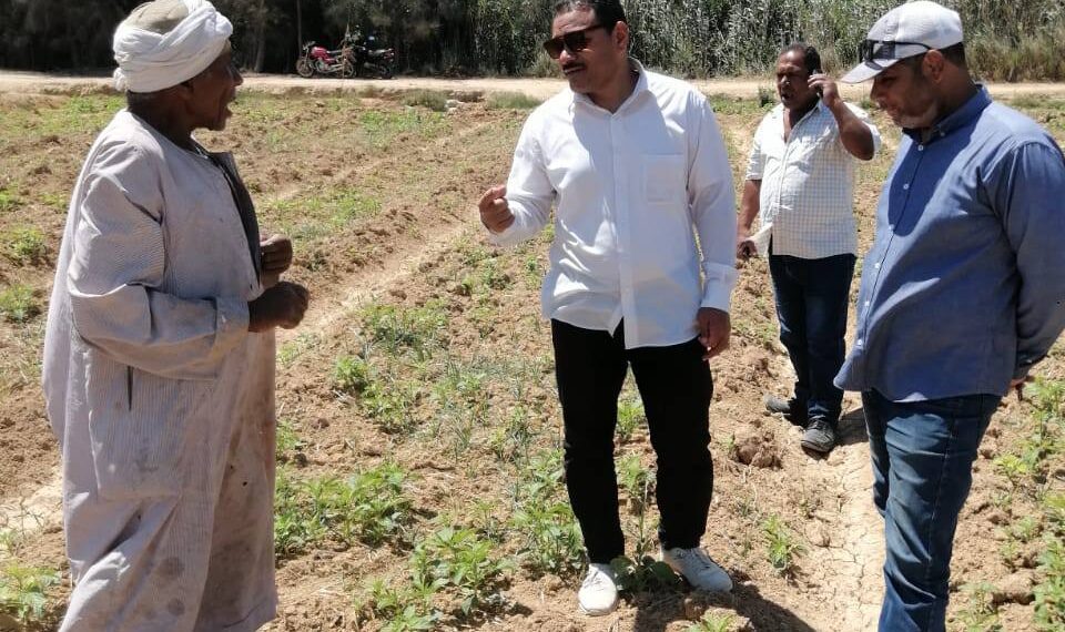 فريق إرشادي لشرح توصيات محصول السمسم بـ«زراعة النوبارية» 1 زراعة النوبارية