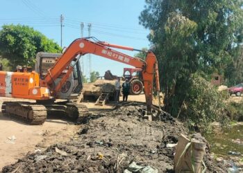 زراعة دمياط