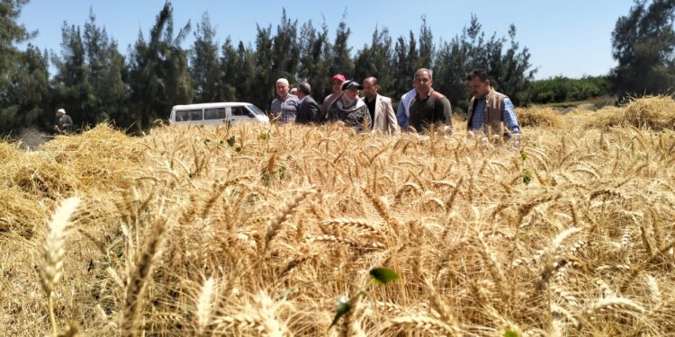 وزير الزراعة يستعرض جهود قطاع الاستصلاح خلال شهر مايو 1 قطاع الاستصلاح