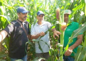 “المركزية للإرشاد الزراعي” تنفذ أكثر من 700 ندوة استفاد منها أكثر من 10000 مزارع خلال يونيو