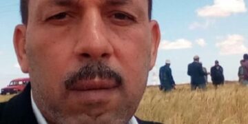 د. بدوي رجب مهدلي يكتب عن القمح والشعير والأصداء 3 القمح