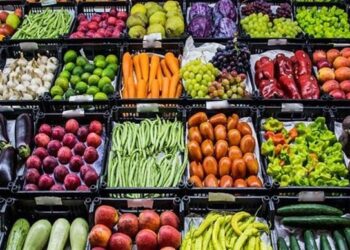 الصادرات الزراعية