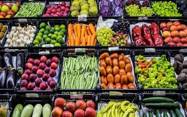 الصادرات الزراعية