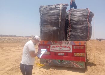 بطاطس مائدة