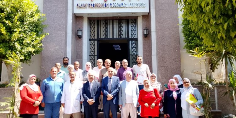 آفات نخيل البلح … وقاية النباتات ينظم تدريبا عن الإدارة الذكية لها 1 آفات نخيل البلح