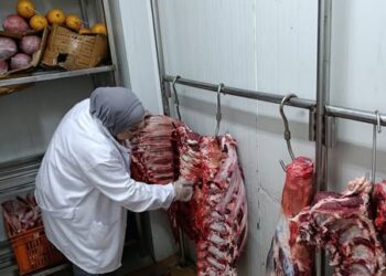 لحوم غير صالحة