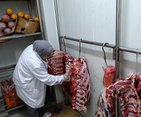 ضبط 120 طن لحوم غير صالحة للاستخدام الآدمي خلال يوليو 1 لحوم غير صالحة