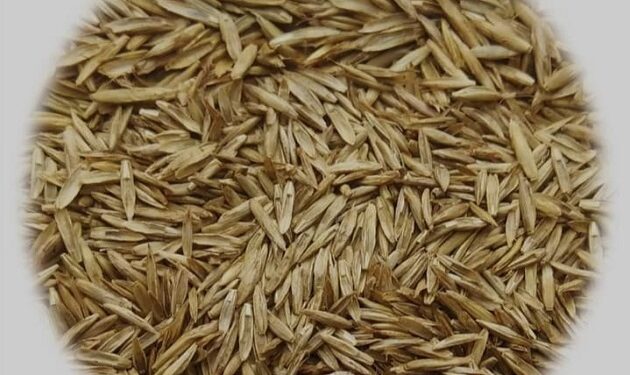 المركزي للحشائش ينظم تدريبا حول طرق فحص بذور الحشائش 1 المركزي للحشائش