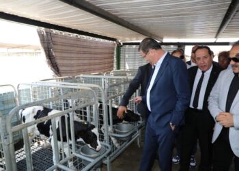 مشروع الصالحية الزراعي