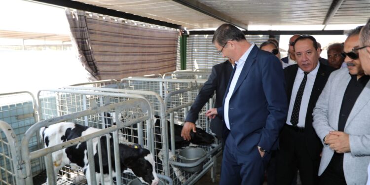 مشروع الصالحية الزراعي