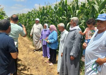 البحوث الزراعية