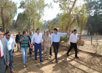 محطة الزهراء للخيول العربية