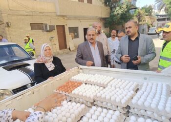 سعر طبق البيض