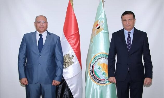 القطاع الزراعي