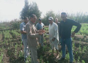المراكز الإرشادية