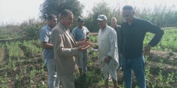 المراكز الإرشادية