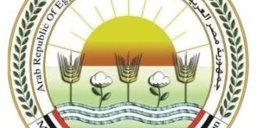 الحمى القلاعية