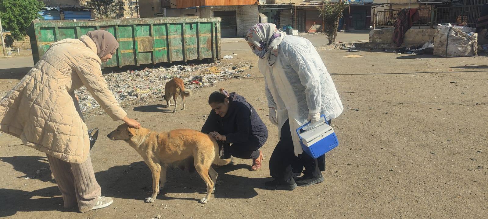 الزراعة حملة استثنائية ضد "الحمى القلاعية" غداً 2 تحصين الكلاب