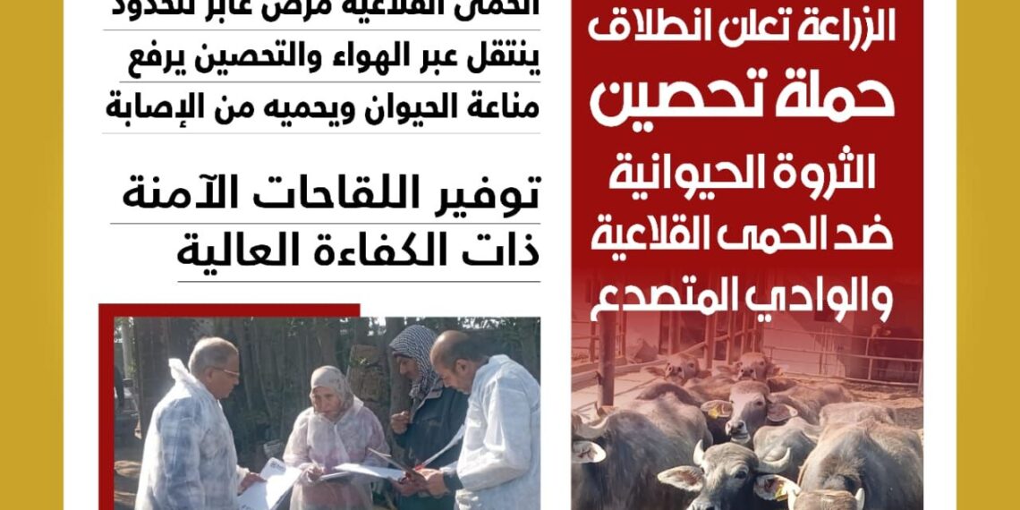 الحمى القلاعية