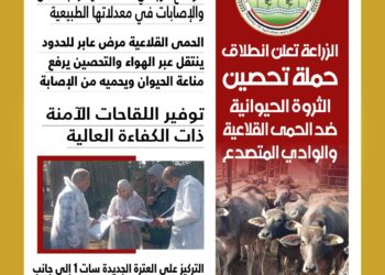 الحمى القلاعية