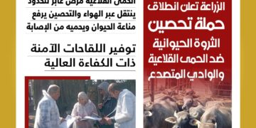 الحمى القلاعية