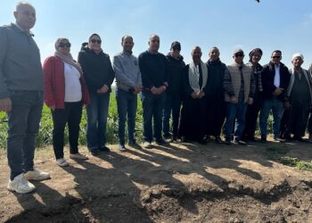 منتجي الحاصلات البستانية