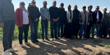 منتجي الحاصلات البستانية يٌنفذ سلسلة حقول إرشادية للبطاطس بالمنيا 4 منتجي الحاصلات البستانية