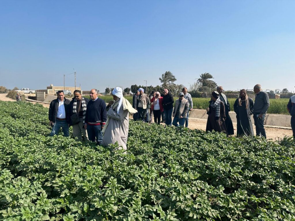 منتجي الحاصلات البستانية