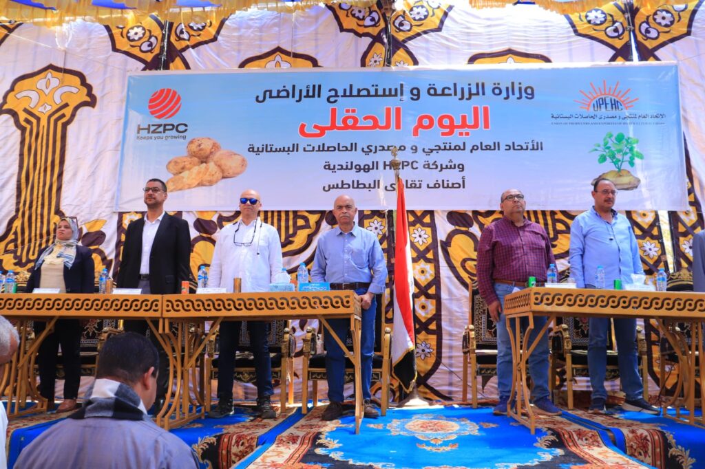 اتحاد منتجي الحاصلات البستانية ينظم يوم حصاد لأصناف البطاطس الجديدة بالمنيا 2 اتحاد منتجي الحاصلات البستانية