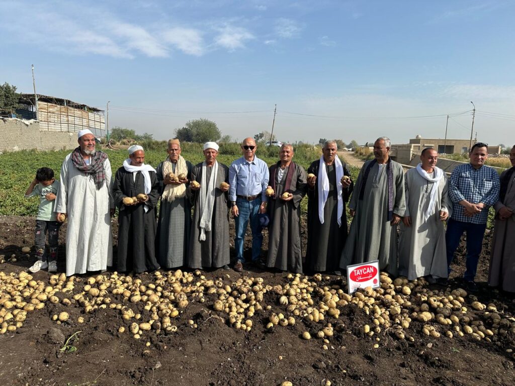 اتحاد منتجي الحاصلات البستانية ينظم يوم حصاد لأصناف البطاطس الجديدة بالمنيا 6 5
