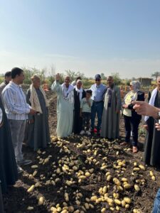 اتحاد منتجي الحاصلات البستانية