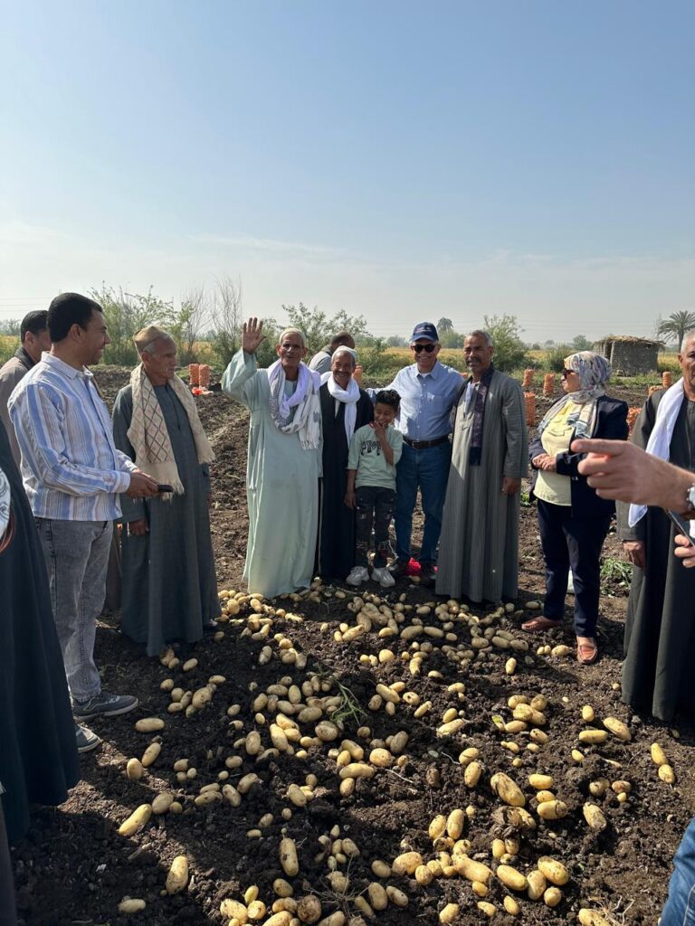 اتحاد منتجي الحاصلات البستانية ينظم يوم حصاد لأصناف البطاطس الجديدة بالمنيا 8 اتحاد منتجي الحاصلات البستانية