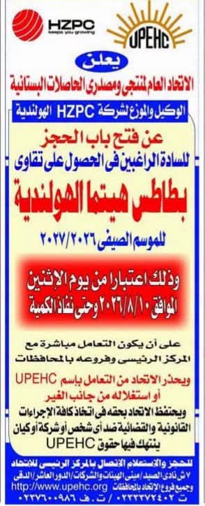 اتحاد منتجي الحاصلات البستانية يفتح حجز تقاوي بطاطس هيتما للموسم الصيفي 12 تقاوي بطاطس هيتما