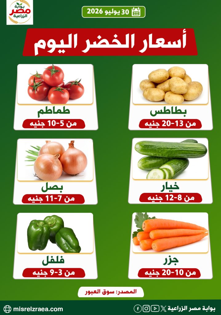 أسعار الخضر اليوم 30 يوليو 2026 داخل أسواق الجملة 12 أسعار الخضر اليوم