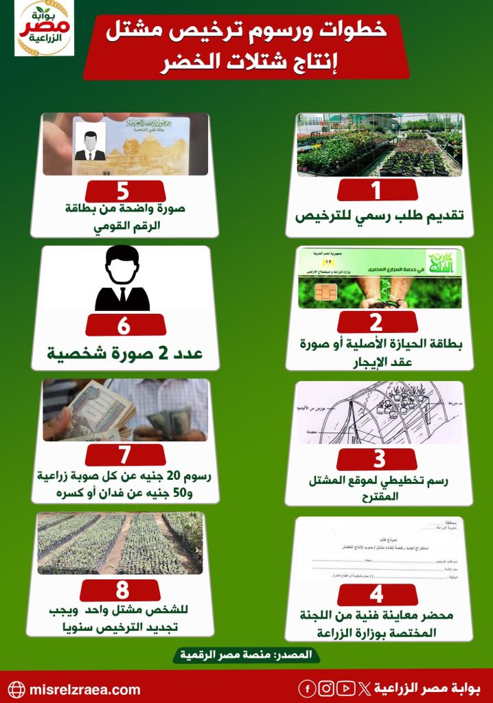خطوات ترخيص مشتل لإنتاج شتلات الخضر 2026 12 خطوات ترخيص مشتل لإنتاج شتلات الخضر