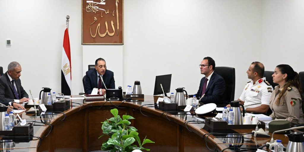 الكلاب الضالة