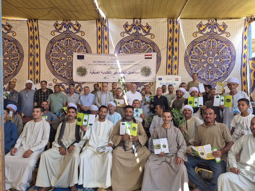  الممارسات الزراعية الجيدة فى إنتاج محاصيل العلف الصيفية