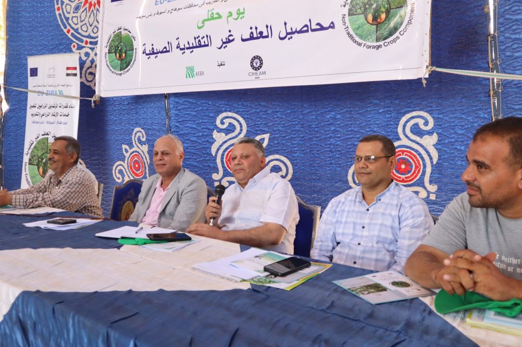 محاصيل العلف الصيفية