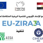 قصب السكر الزراعة بالشتل.. نشرة إرشادية (pdf) 12 EU-ZIRA3A