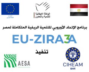 قصب السكر الزراعة بالشتل.. نشرة إرشادية (pdf) 12 EU-ZIRA3A