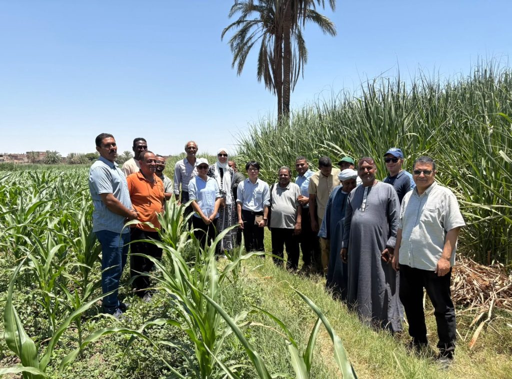 الصوب الزراعية الذكية 