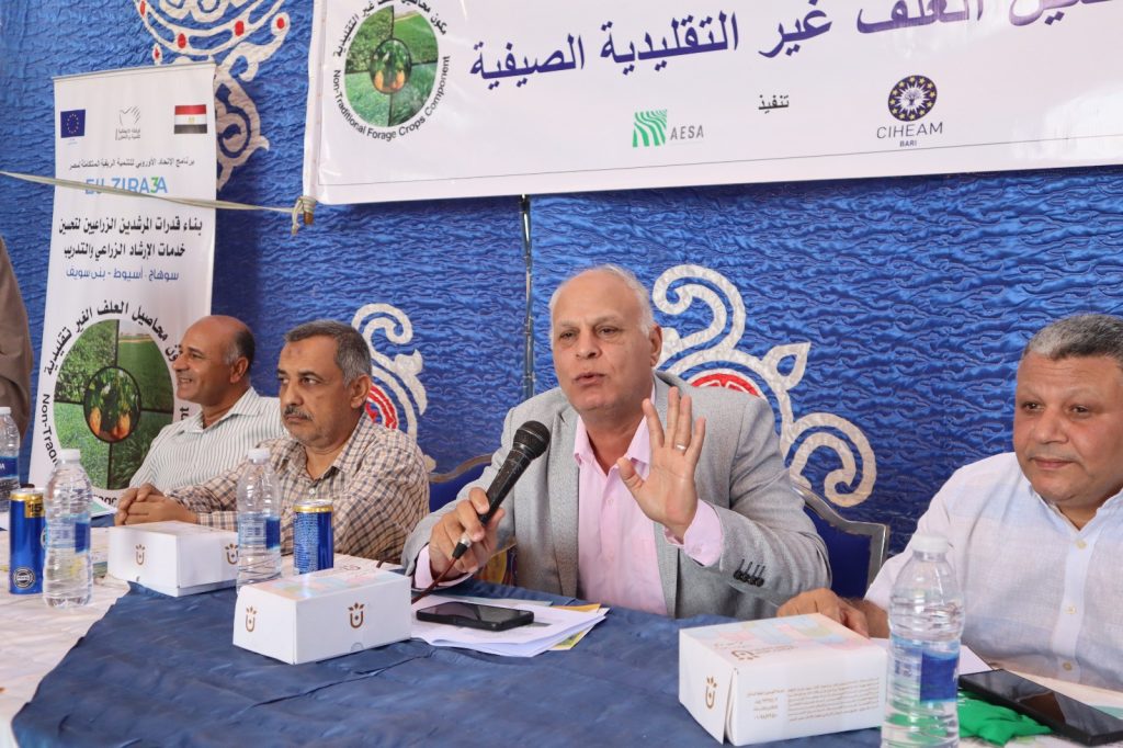 محاصيل العلف الصيفية