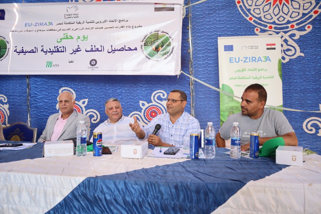 محاصيل العلف الصيفية