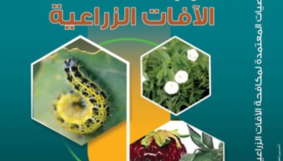التوصيات المعتمدة لمكافحة الآفات الزراعية 2025